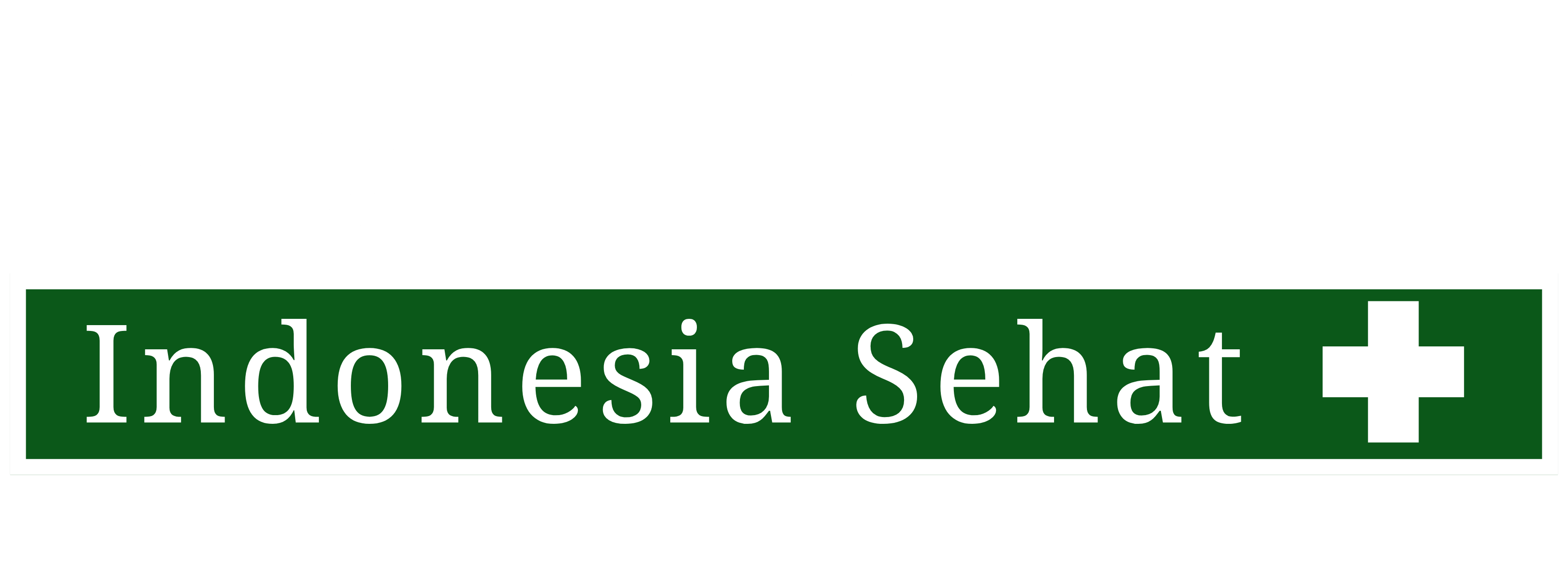 Logo Silverstream Sehat